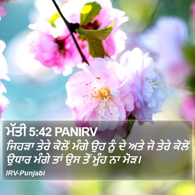 ਮੱਤੀ 5:42 PANIRV Bible Verse Image
