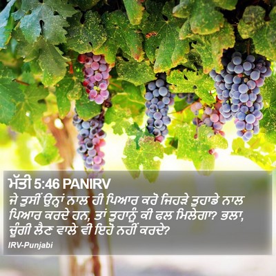 ਮੱਤੀ 5:46 PANIRV Bible Verse Image