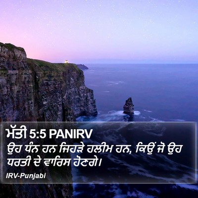 ਮੱਤੀ 5:5 PANIRV Bible Verse Image