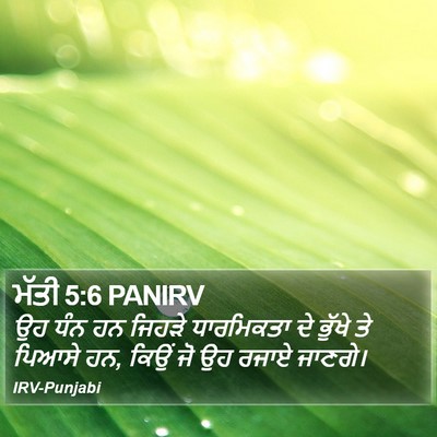ਮੱਤੀ 5:6 PANIRV Bible Verse Image