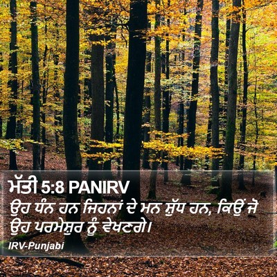 ਮੱਤੀ 5:8 PANIRV Bible Verse Image