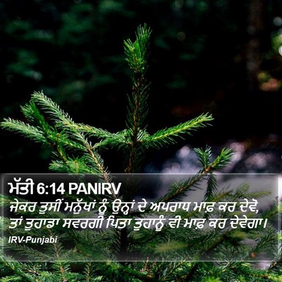 ਮੱਤੀ 6:14 PANIRV Bible Verse Image