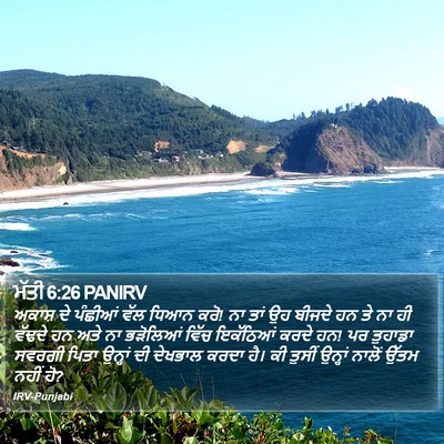 ਮੱਤੀ 6:26 PANIRV Bible Verse Image
