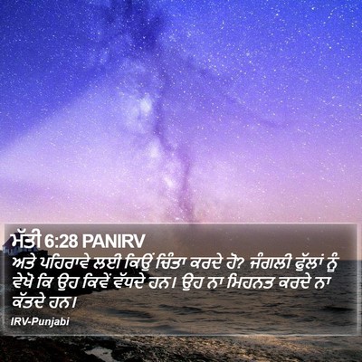 ਮੱਤੀ 6:28 PANIRV Bible Verse Image