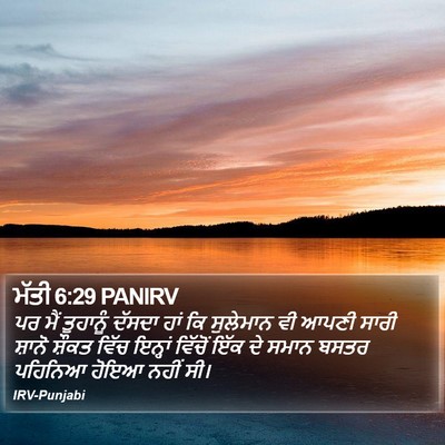 ਮੱਤੀ 6:29 PANIRV Bible Verse Image