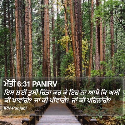 ਮੱਤੀ 6:31 PANIRV Bible Verse Image