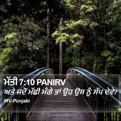 ਮੱਤੀ 7:10 PANIRV Bible Verse Image