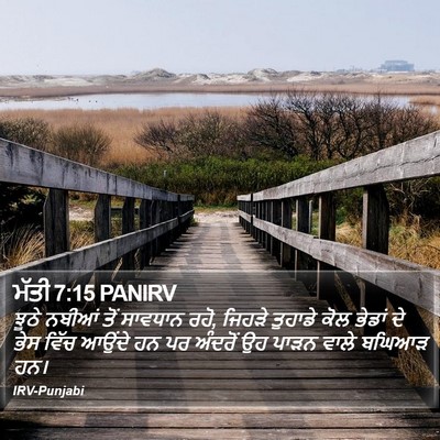 ਮੱਤੀ 7:15 PANIRV Bible Verse Image