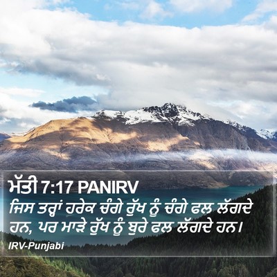 ਮੱਤੀ 7:17 PANIRV Bible Verse Image