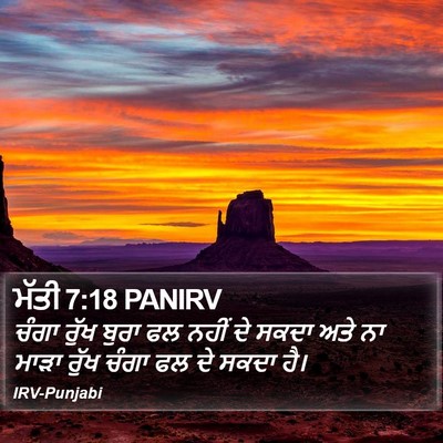 ਮੱਤੀ 7:18 PANIRV Bible Verse Image