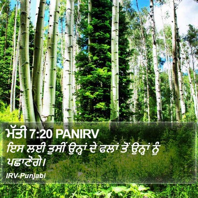 ਮੱਤੀ 7:20 PANIRV Bible Verse Image