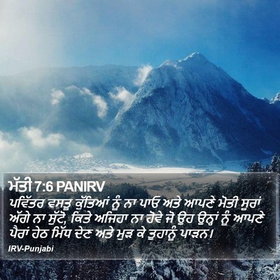 ਮੱਤੀ 7:6 PANIRV Bible Verse Image