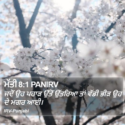 ਮੱਤੀ 8:1 PANIRV Bible Verse Image
