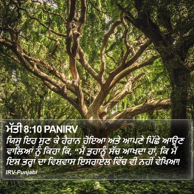 ਮੱਤੀ 8:10 PANIRV Bible Verse Image