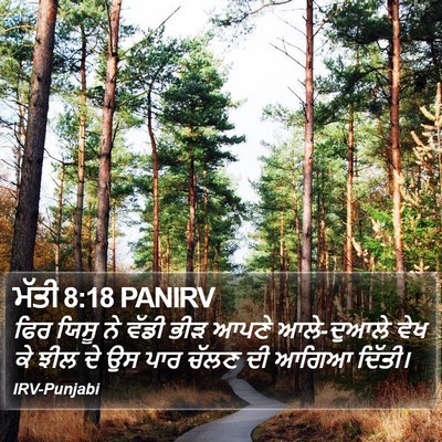 ਮੱਤੀ 8:18 PANIRV Bible Verse Image