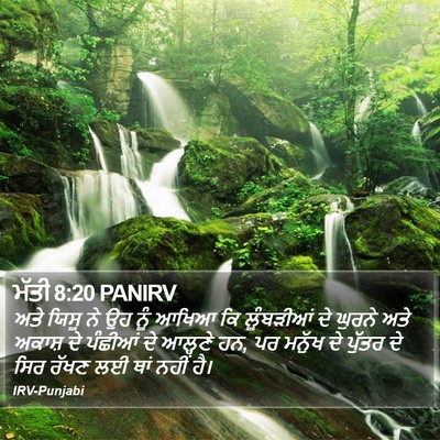 ਮੱਤੀ 8:20 PANIRV Bible Verse Image