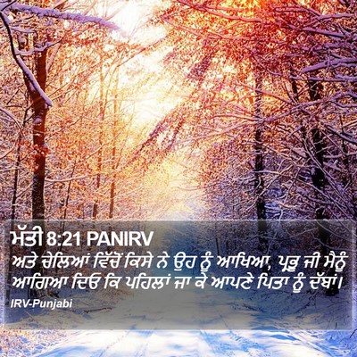 ਮੱਤੀ 8:21 PANIRV Bible Verse Image