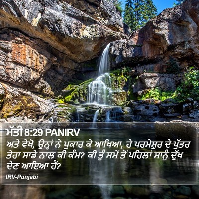 ਮੱਤੀ 8:29 PANIRV Bible Verse Image