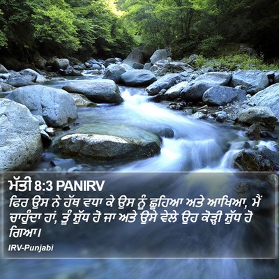 ਮੱਤੀ 8:3 PANIRV Bible Verse Image