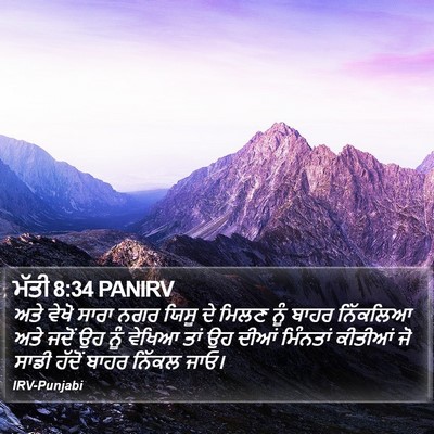 ਮੱਤੀ 8:34 PANIRV Bible Verse Image