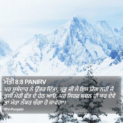 ਮੱਤੀ 8:8 PANIRV Bible Verse Image