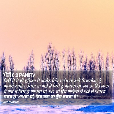 ਮੱਤੀ 8:9 PANIRV Bible Verse Image