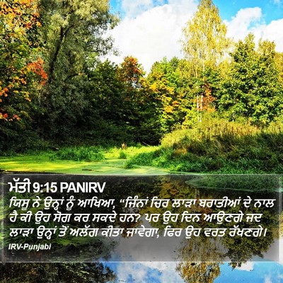 ਮੱਤੀ 9:15 PANIRV Bible Verse Image