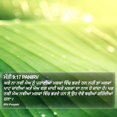 ਮੱਤੀ 9:17 PANIRV Bible Verse Image