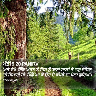 ਮੱਤੀ 9:20 PANIRV Bible Verse Image