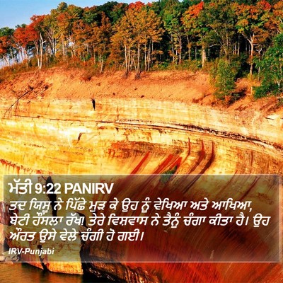 ਮੱਤੀ 9:22 PANIRV Bible Verse Image