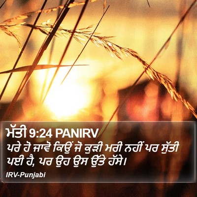 ਮੱਤੀ 9:24 PANIRV Bible Verse Image