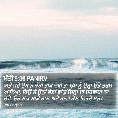 ਮੱਤੀ 9:36 PANIRV Bible Verse Image