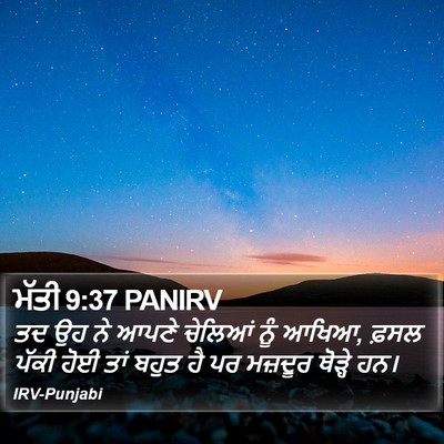 ਮੱਤੀ 9:37 PANIRV Bible Verse Image