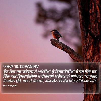 ਯਸ਼ਵਾ 10:12 PANIRV Bible Verse Image