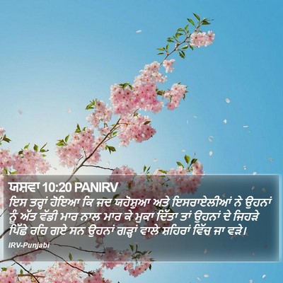 ਯਸ਼ਵਾ 10:20 PANIRV Bible Verse Image