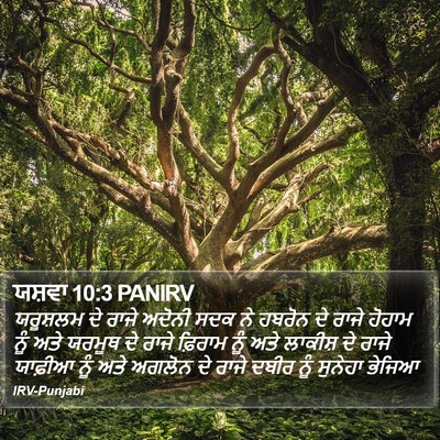 ਯਸ਼ਵਾ 10:3 PANIRV Bible Verse Image