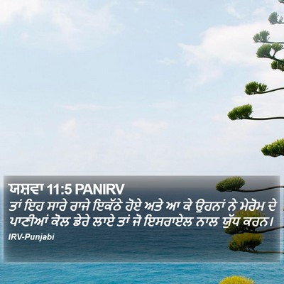 ਯਸ਼ਵਾ 11:5 PANIRV Bible Verse Image