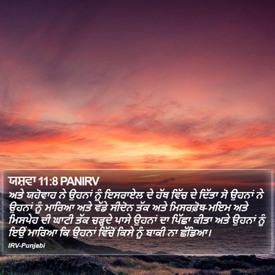 ਯਸ਼ਵਾ 11:8 PANIRV Bible Verse Image