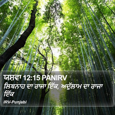 ਯਸ਼ਵਾ 12:15 PANIRV Bible Verse Image