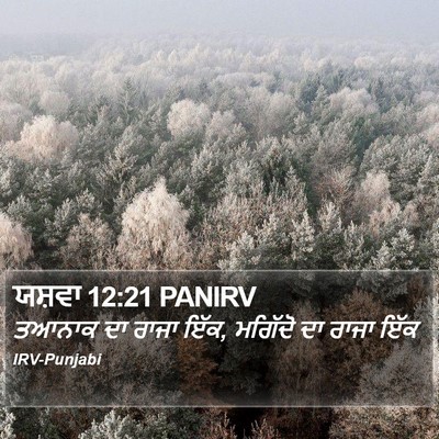 ਯਸ਼ਵਾ 12:21 PANIRV Bible Verse Image