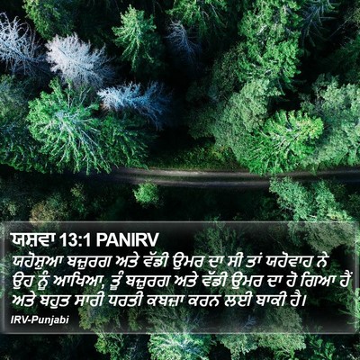 ਯਸ਼ਵਾ 13:1 PANIRV Bible Verse Image