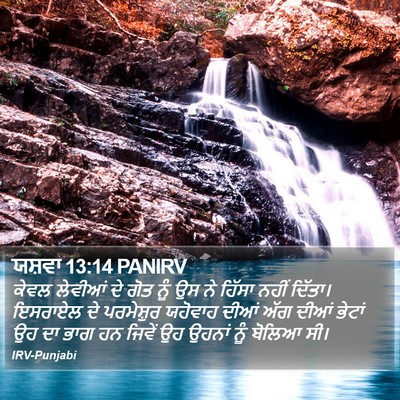 ਯਸ਼ਵਾ 13:14 PANIRV Bible Verse Image