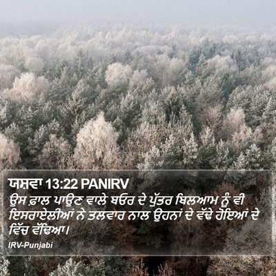 ਯਸ਼ਵਾ 13:22 PANIRV Bible Verse Image