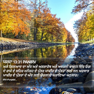 ਯਸ਼ਵਾ 13:31 PANIRV Bible Verse Image