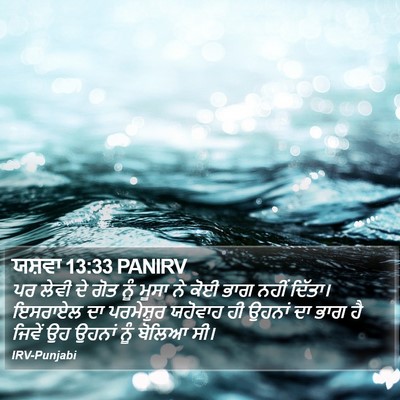 ਯਸ਼ਵਾ 13:33 PANIRV Bible Verse Image