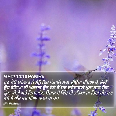 ਯਸ਼ਵਾ 14:10 PANIRV Bible Verse Image