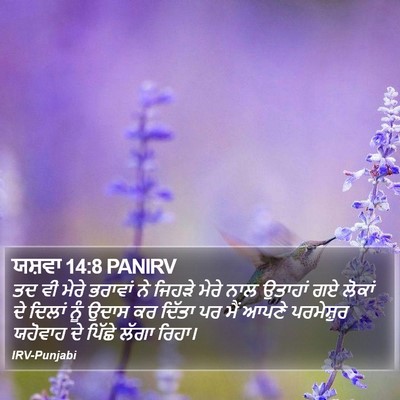 ਯਸ਼ਵਾ 14:8 PANIRV Bible Verse Image