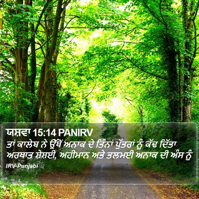 ਯਸ਼ਵਾ 15:14 PANIRV Bible Verse Image