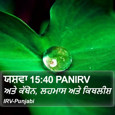 ਯਸ਼ਵਾ 15:40 PANIRV Bible Verse Image