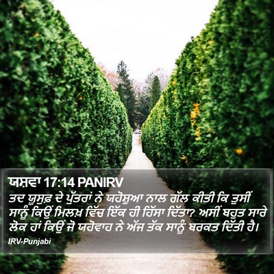 ਯਸ਼ਵਾ 17:14 PANIRV Bible Verse Image